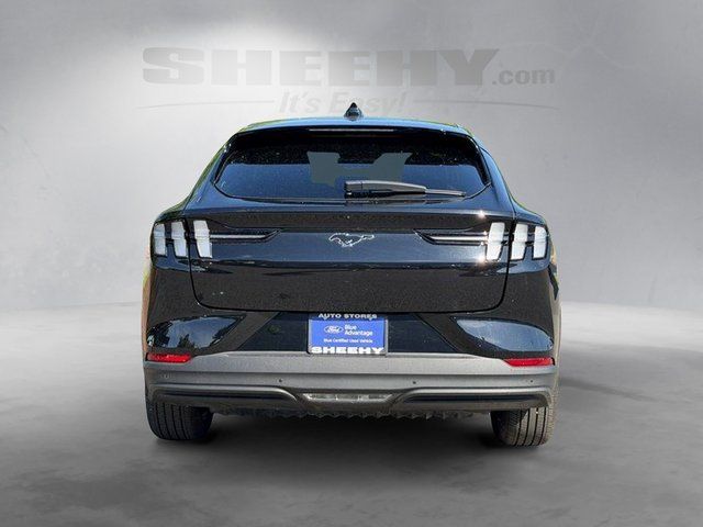 Certified Used 2025 Shadow Black Ford Premium image 13