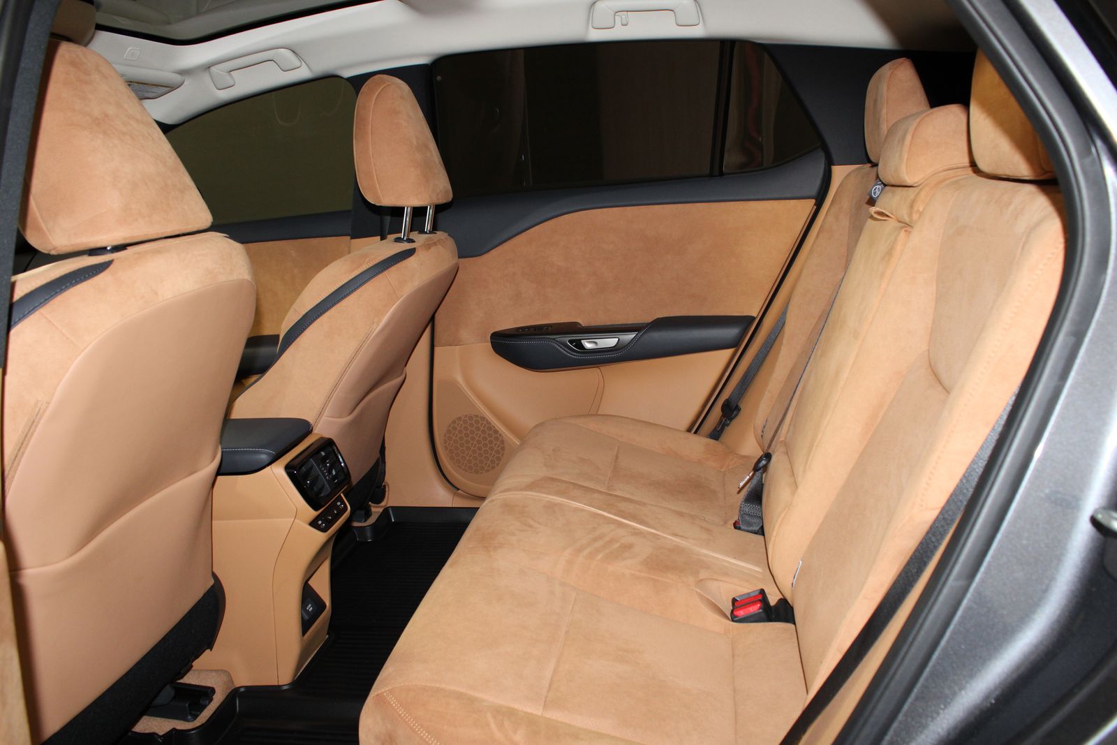 Used 2023 Gray Lexus 450e Luxury image 7