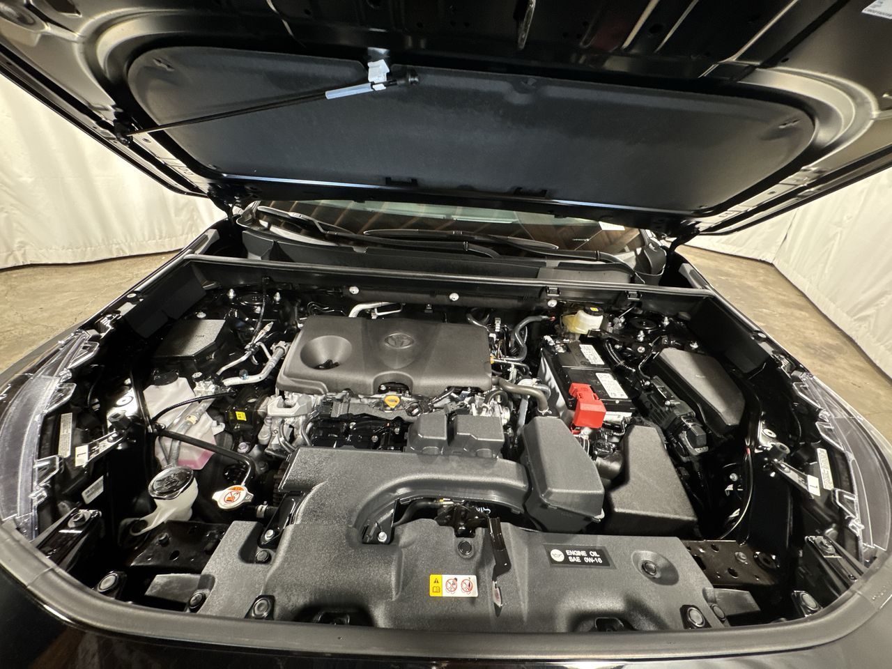 2025 Toyota RAV4 XLE Premium photo 25