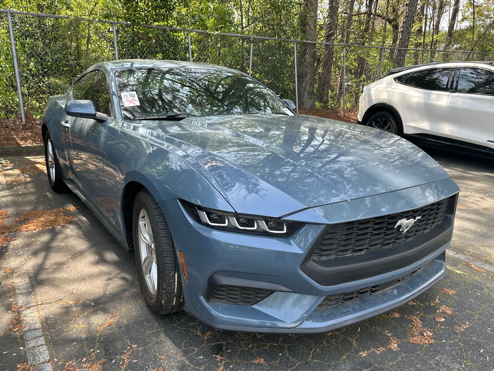 Vapor Blue Metallic 2024 Ford Mustang EcoBoost Fastback RWD Coupe Rear-Wheel Drive Automatic