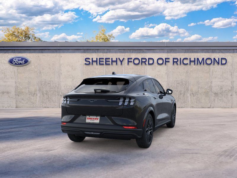 New 2026 Shadow Black Ford Premium image 8