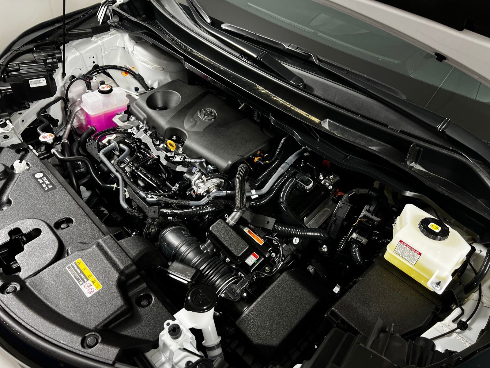 2025 Toyota Sienna Platinum 11