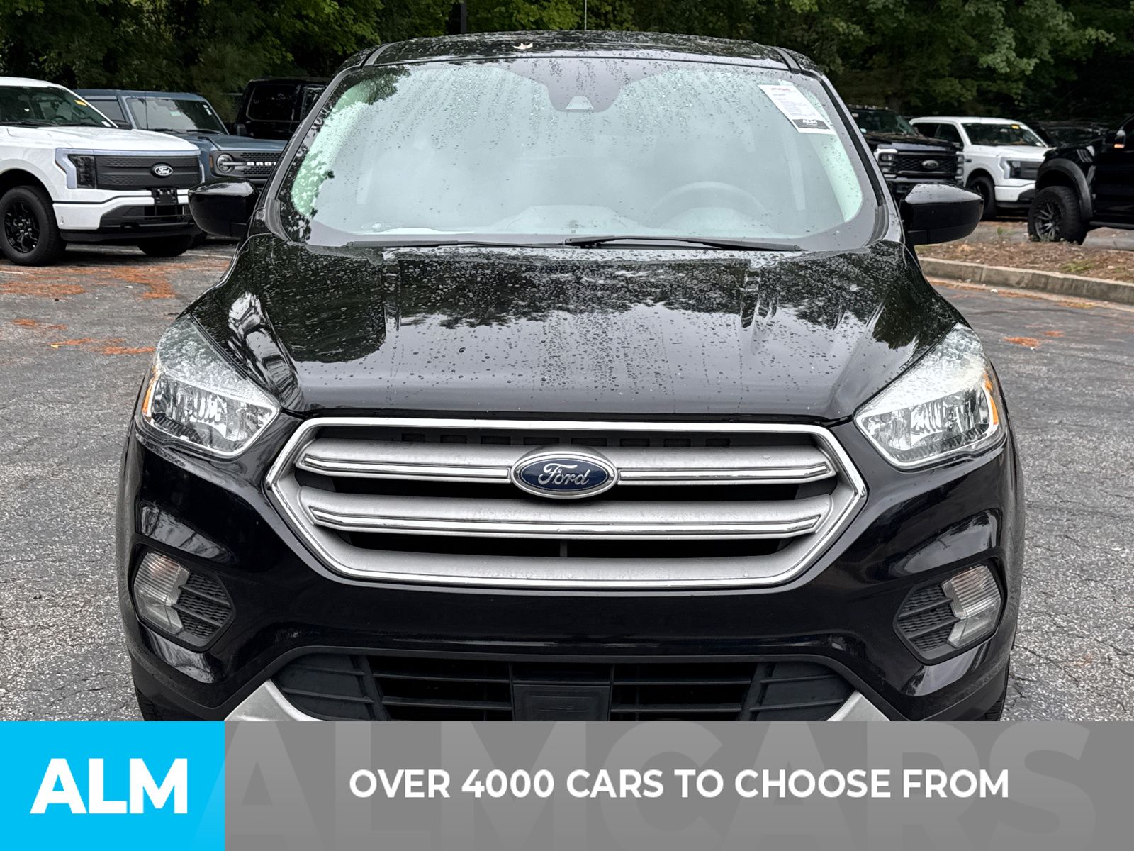 2019 Ford Escape SE photo 2