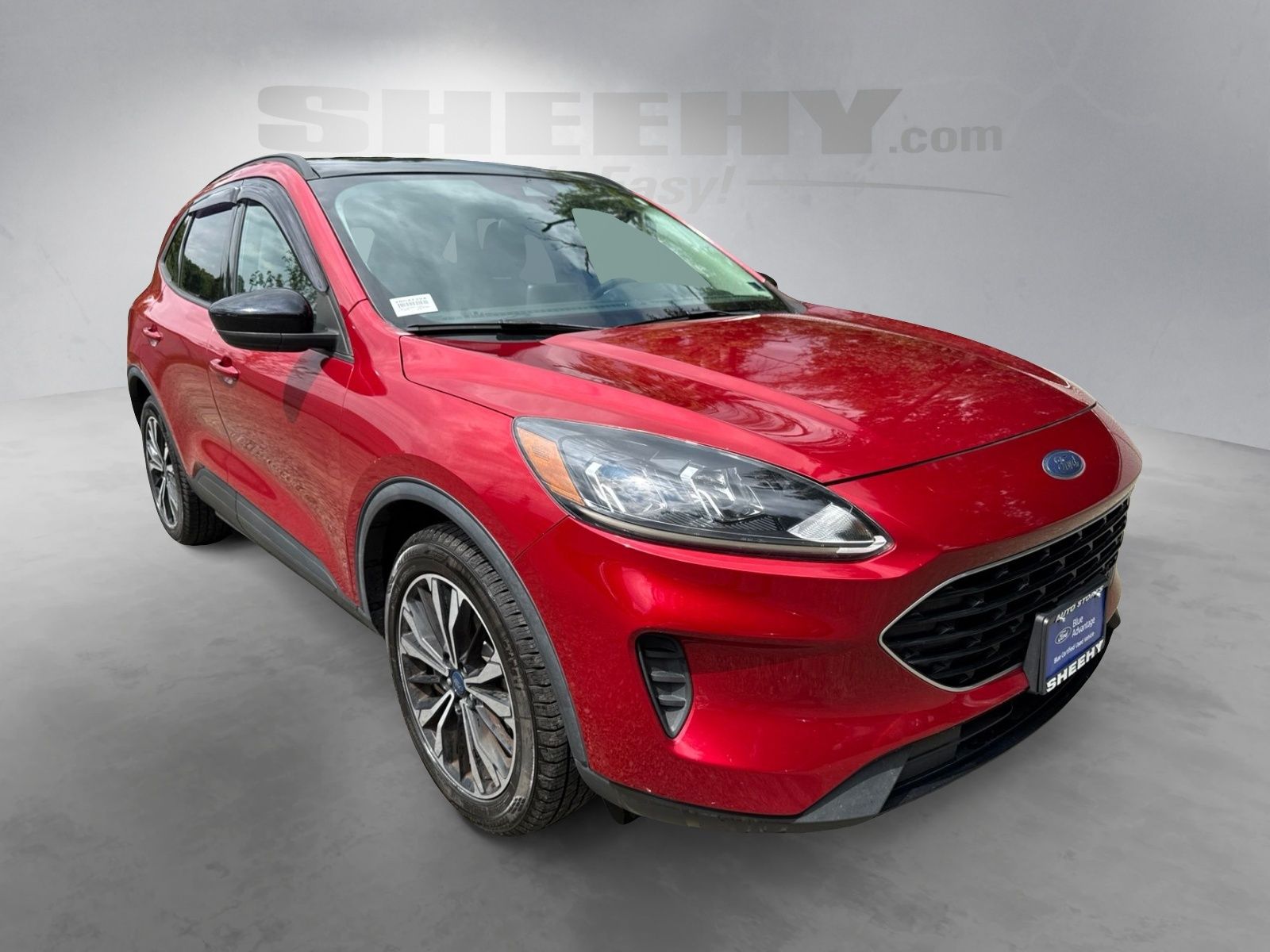 Certified 2021 Ford Escape SE with VIN 1FMCU9G65MUA29374 for sale in Warrenton, VA