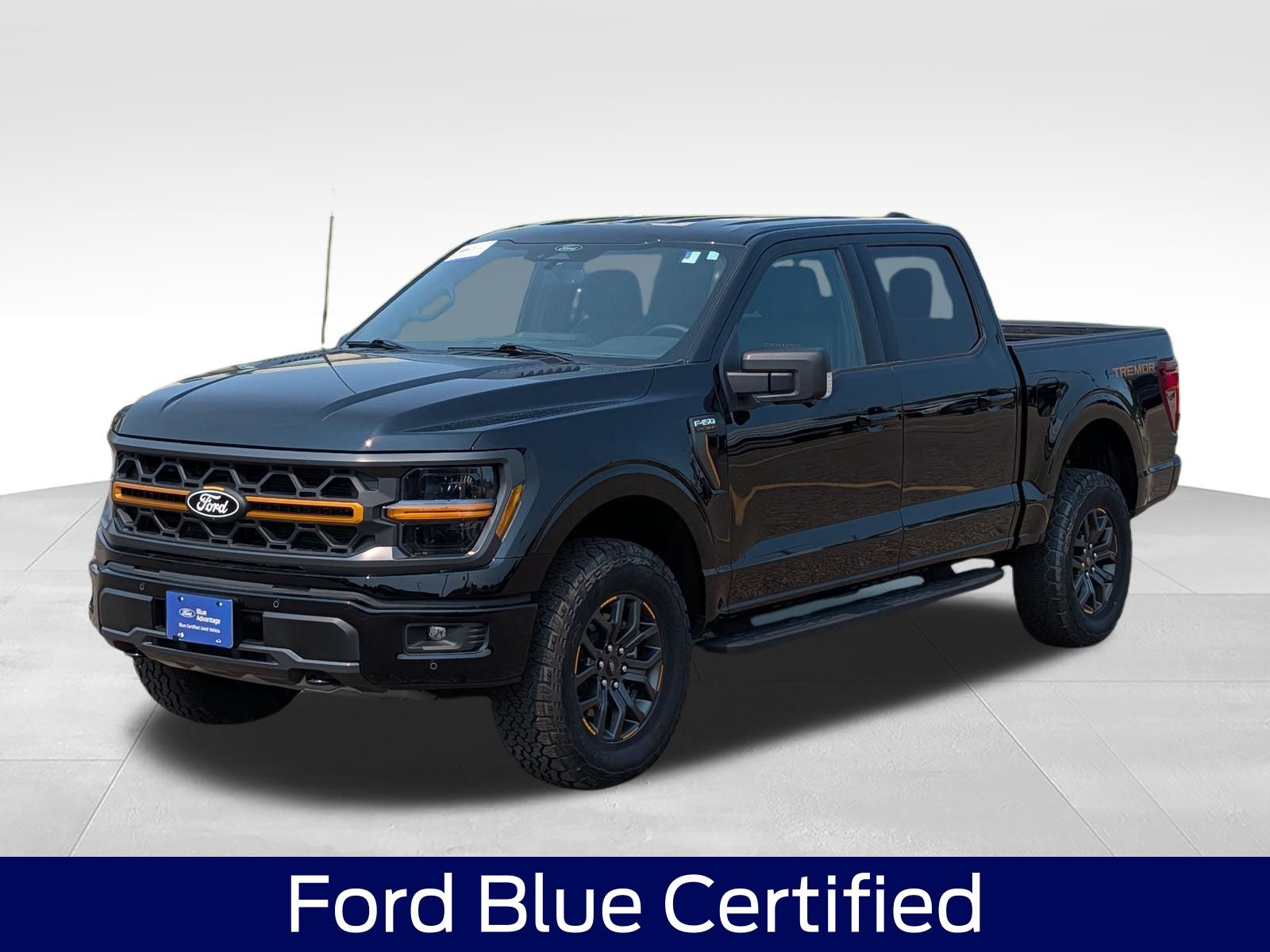 Black 2025 Ford F-150 Pickup Truck Four-Wheel Drive Automatic