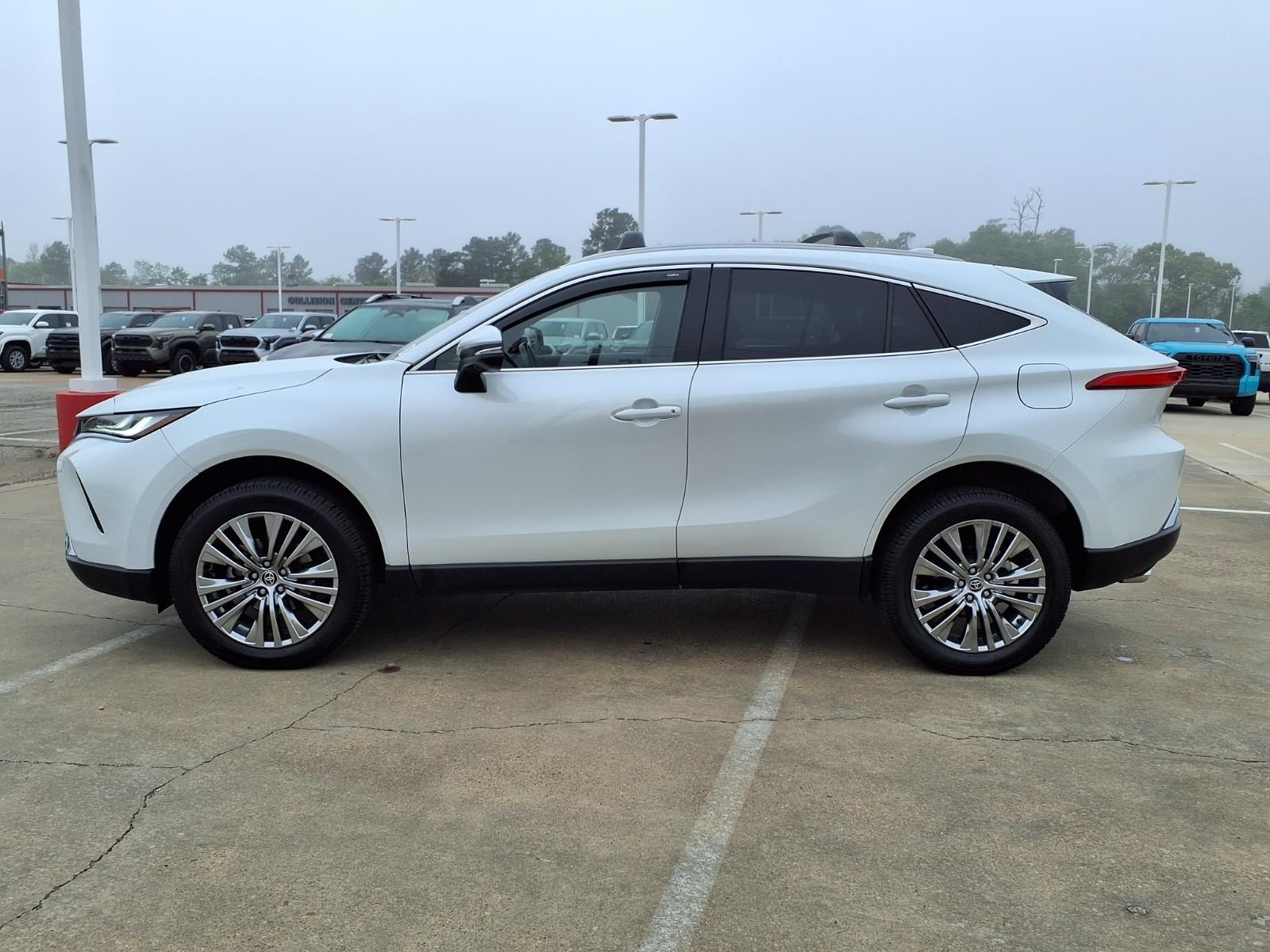 2024 Toyota Venza Limited - 8