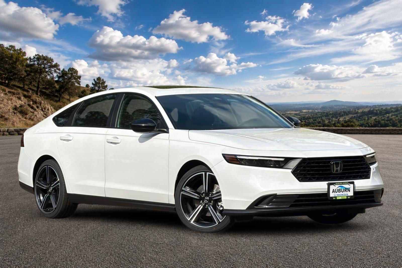 New 2026 Platinum White Pearl Honda Sport image 2