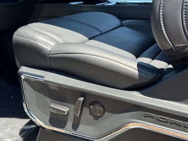 New 2026 Agate Black Metallic Ford Platinum image 21