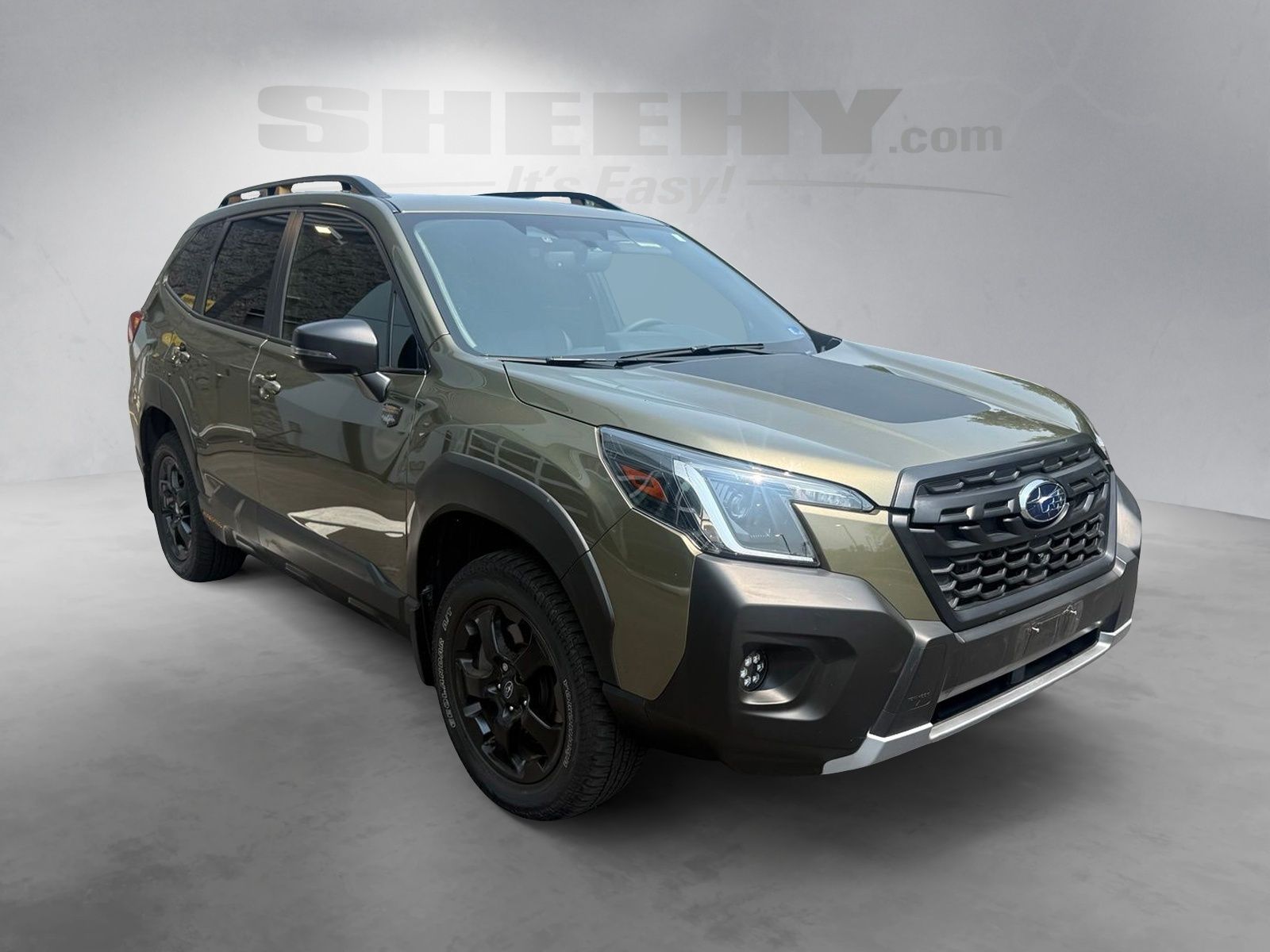 Used 2024 Brown Subaru Wilderness image 2