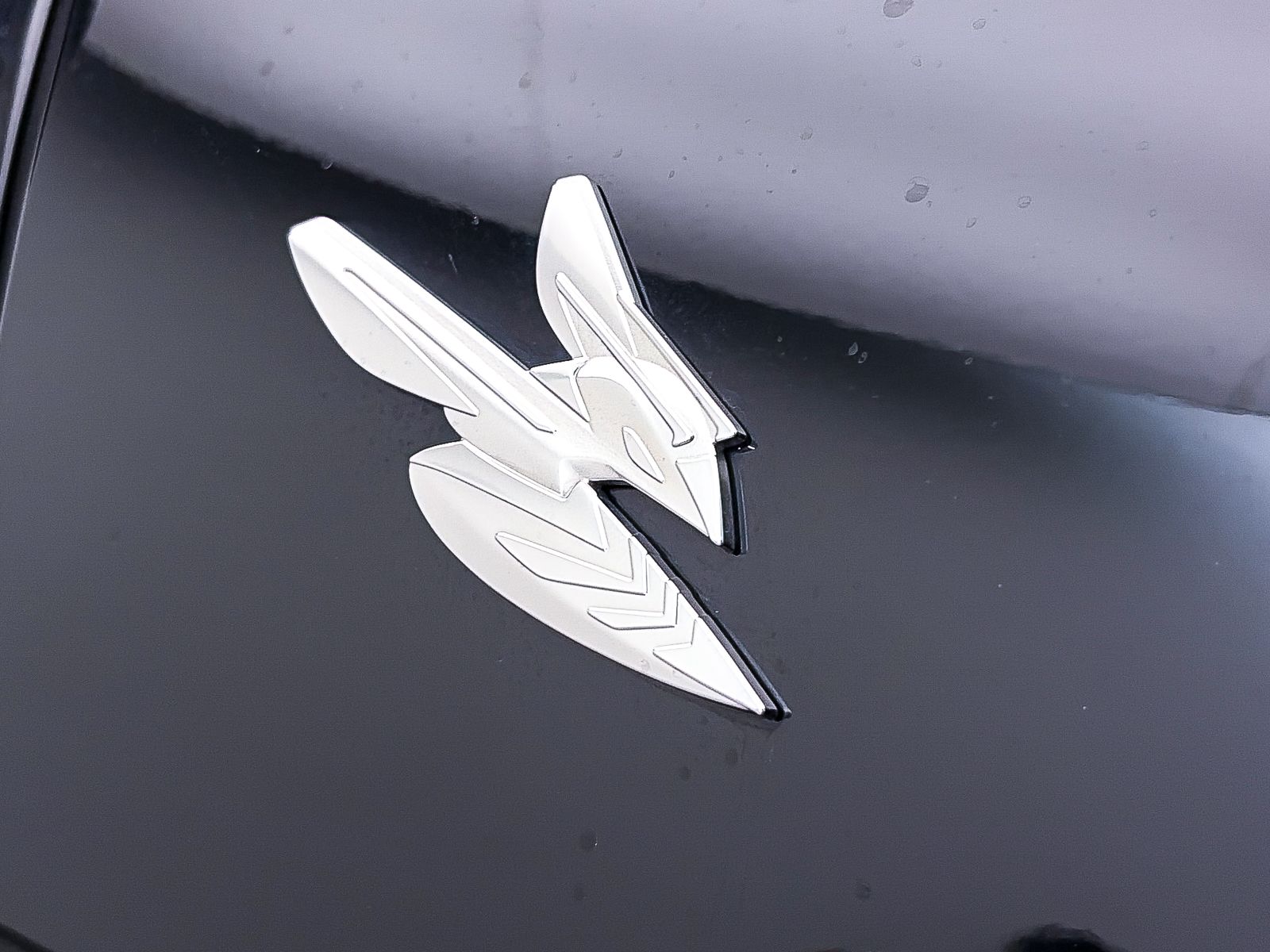 ZACNDFAN6P3A03844