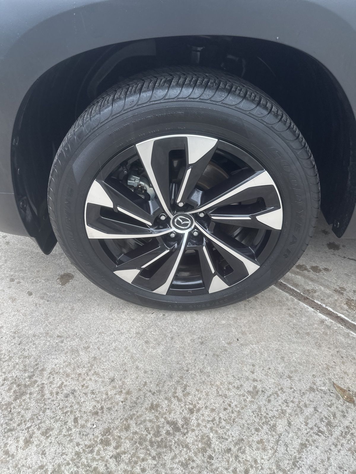 Used Car 2025 Mazda Cx-50 Hybrid  Premium Plus For Sale Under $35,000 In Austin, Texas