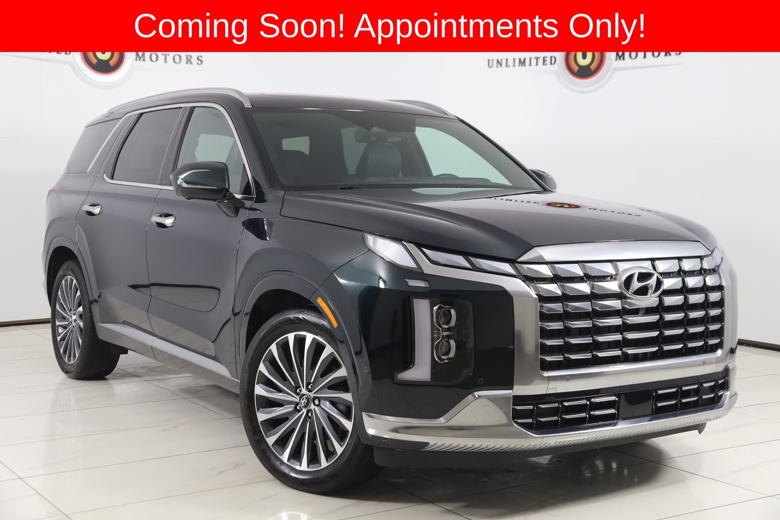 Robust Emerald 2025 Hyundai Palisade Calligraphy AWD SUV / Crossover All-Wheel Drive 8-Speed Automatic