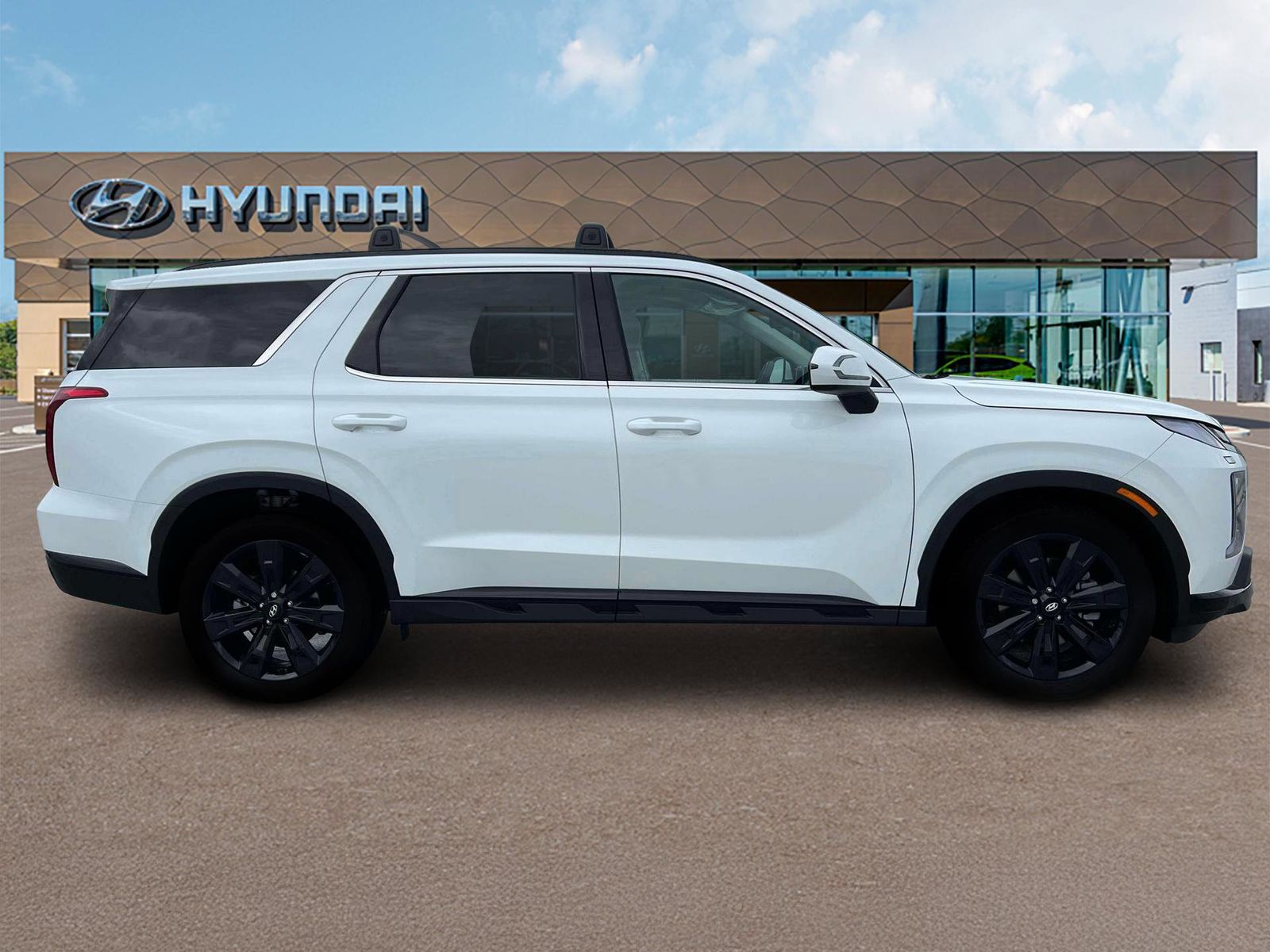 Palisade XRT