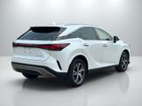 Used 2026 Lexus RX SUV