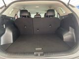 Used 2024 Kia Sportage SUV