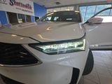 Used 2025 Acura MDX SUV