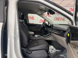 New 2026 Kia Carnival MPV Van