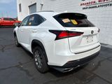 Used 2019 Lexus NX SUV