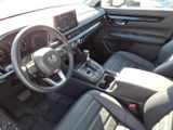 Used 2026 Honda CR-V SUV