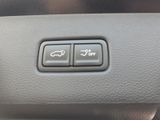 New 2026 Kia Carnival MPV Van