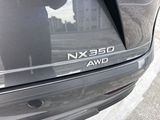 Used 2024 Lexus NX SUV