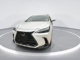 Used 2025 Lexus NX SUV