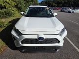 Used 2019 Toyota RAV4 Hybrid SUV