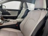 Used 2019 Lexus RX SUV