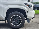 Used 2024 Toyota Tacoma Truck