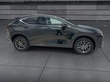 Used 2025 Lexus NX SUV