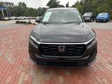 Used 2025 Honda CR-V SUV