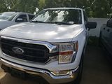 Used 2021 Ford F-150 Truck
