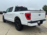 Used 2021 Ford F-150 Truck