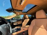 Used 2025 Lexus NX SUV