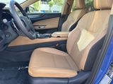 Used 2025 Lexus NX SUV