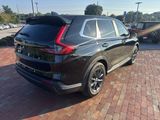 Used 2026 Honda CR-V SUV