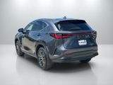Used 2025 Lexus NX SUV