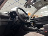 New 2026 Honda CR-V SUV