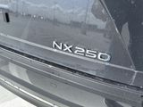Used 2025 Lexus NX SUV