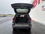 Used 2019 Ford Escape SUV