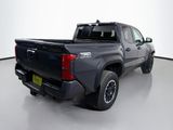 Used 2025 Toyota Tacoma Truck