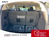 Used 2025 Kia Carnival Van