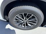 Used 2025 Lexus NX SUV