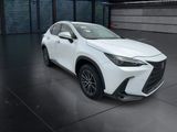 Used 2025 Lexus NX SUV