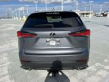 Used 2020 Lexus NX SUV
