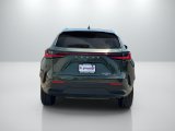 Used 2024 Lexus NX SUV