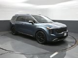 Used 2025 Kia Carnival Van