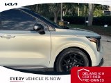 Used 2025 Kia Carnival Van