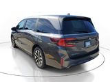 New 2026 Honda Odyssey Van