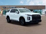 Palisade XRT
